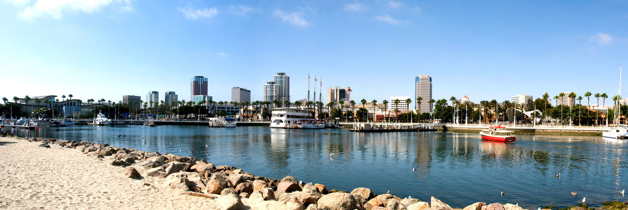 A wide view of boats docked and a few tall multi-floor buildings